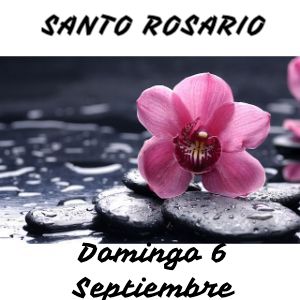 Santo Rosario de Hoy Domingo 6 Septiembre 2020 - MISTERIOS GLORIOSOS